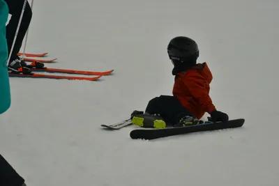 DSC_6722 (Large).JPG